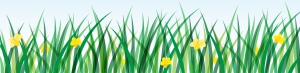 Green banner with grass and daffodil