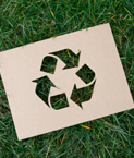 Recycling Logo Green